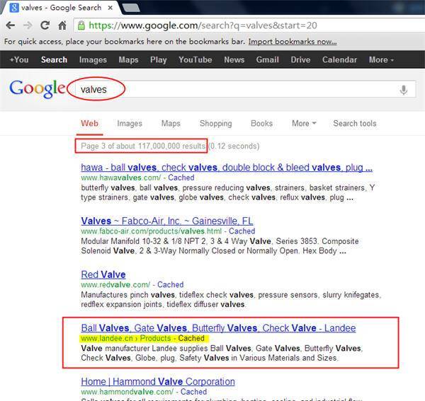 英文Google优化效果：Valves阀门google.com自然排名第24位