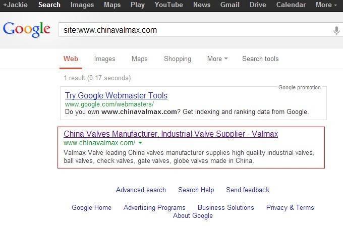 Valmax Valve Co Ltd www.chinavalmax.com上线